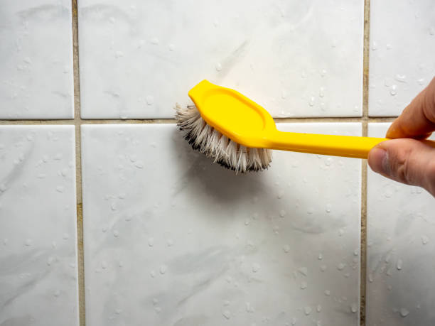 Best Mold Removal Near Me  in The Villages, FL