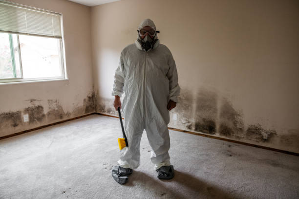 Crawl Space Mold Removal in The Villages, FL