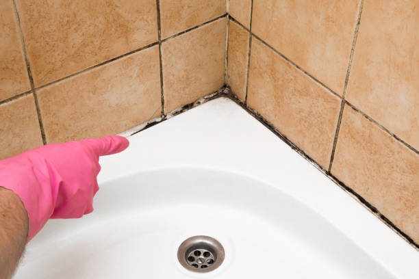 Best Crawl Space Mold Removal  in The Villages, FL